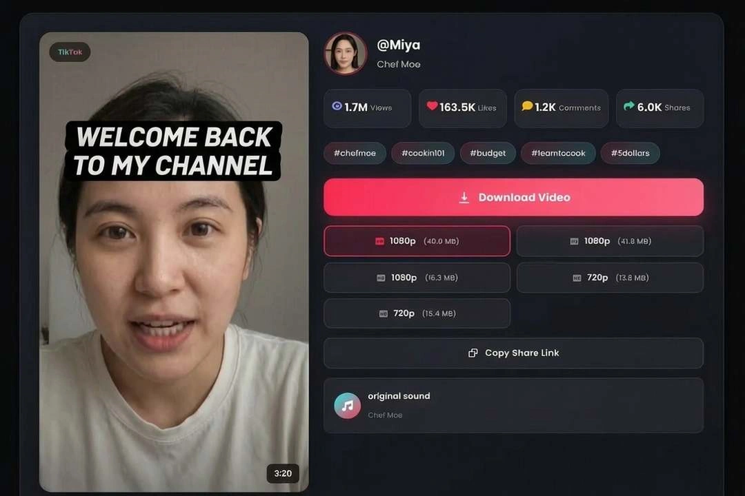 TikTok Slideshow Downloader and TikTok Pic Downloader